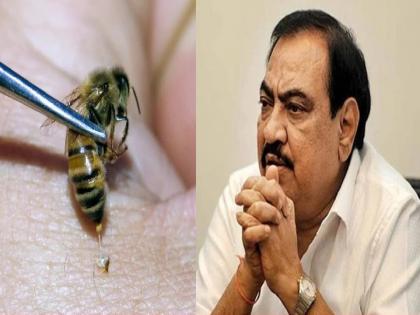 Video: Due to Bee bite Eknath Khadse's back pain and knee pain stopped | Video: मधमाशा चावल्या अन् एकनाथ खडसेंचं दुखणं बंद झालं; नेमका काय प्रकार?