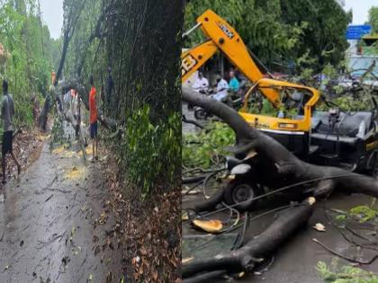 1 killed in tree fall in Pune; Heavy rains in Kolhapur cause landslides at various places | पुण्यात झाड कोसळून १ ठार; कोल्हापुरात जोरदार पावसामुळे ठिकठिकाणी भूस्खलनाच्या घटना 1 killed in tree fall in Pune; Heavy rains in Kolhapur cause landslides at various places | पुण्यात झाड कोसळून १ ठार; कोल्हापुरात जोरदार पावसामुळे ठिकठिकाणी भूस्खलनाच्या घटना