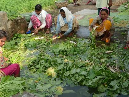 Lean prices on the market for leafy vegetables | पालेभाज्यांना बाजारात कवडीमोल किंमत