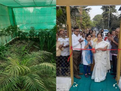 Inauguration of Oxygen Park in Dombivli | डोंबिवलीतील ऑक्सिजन पार्कचे लोकार्पण