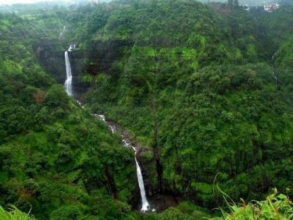 Bhimashankar forest closed for tourists; Action will be taken if found wandering in the forest | भीमाशंकर अभयारण्य पर्यटकांसाठी बंद; जंगलात फिरताना आढळून आल्यास होणार कारवाई