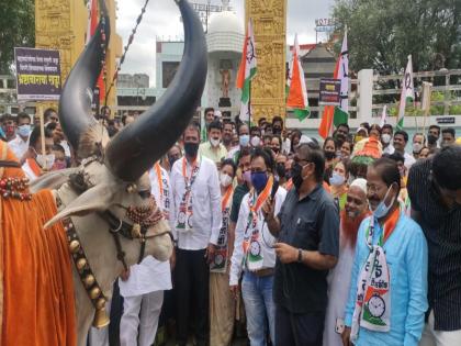 NCP's march on Pimpri Municipal Corporation; ox brought in front of the entrance | पिंपरी महापालिकेवर राष्ट्रवादीचा मोर्चा; प्रवेशद्वारासमोर आणला चक्क 'नंदीबैल'