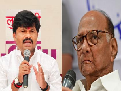 Sharad Pawar betrayed the Bahujans, Criticism of Gopichand Padalkar | शरद पवारांनी बहुजनांच्या जिवावर राजकारण करत बहुजनांचाच घात केला, गोपीचंद पडळकरांची जहरी टीका