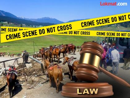 J&K court rejects bail plea of man accused of raping 70 year old tourist | पहलगाममध्ये महाराष्ट्रातल्या वृद्ध महिलेवर अत्याचार; कोर्ट म्हणालं, "तिला पश्चाताच होत असेल की पर्यटनसाठी..." J&K court rejects bail plea of man accused of raping 70 year old tourist | पहलगाममध्ये महाराष्ट्रातल्या वृद्ध महिलेवर अत्याचार; कोर्ट म्हणालं, "तिला पश्चाताच होत असेल की पर्यटनसाठी..."