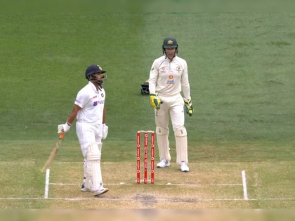 India vs Australia, 2nd Test : Rishabh pant- Tim paine, virat kohli needs a babysitter; poster goes viral | India vs Australia, 2nd Test : विराट कोहलीला 'Babysitter' हवा; रिषभ पंत व टीम पेन यांच्याकडे विचारणा, पोस्टर व्हायरल