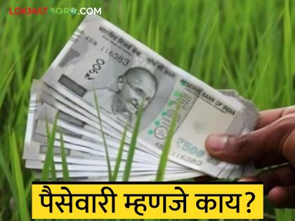 Latest News Agriculture News District administration announces revised payment schedule for Kharif season | पैसेवारी म्हणजे काय, ती कशी काढली जाते, तिचा ब्रिटिश काळाशी काय संबंध? वाचा सविस्तर Latest News Agriculture News District administration announces revised payment schedule for Kharif season | पैसेवारी म्हणजे काय, ती कशी काढली जाते, तिचा ब्रिटिश काळाशी काय संबंध? वाचा सविस्तर