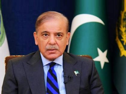 Pakistan New PM Shahbaz Sharif slammed by PoK activist Amzad Ayub Mirza | 'पाकव्याप्त काश्मिरात लोक उपासमारीने मरत आहेत'; PoK कार्यकर्त्याने पाक पंतप्रधानांना सुनावलं!