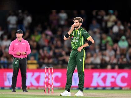  PAK vs NZ Captain Shaheen Afridi and Mohammad Rizwan react after Pakistan's fourth straight defeat  | PAK vs NZ: पाकिस्तानचा सलग चौथा पराभव! खेळाडूंनी एकमेकांवर फोडलं खापर; आता अस्तित्वाची लढाई