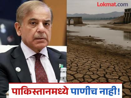 Water scarcity in Pakistan, major impact on crop sowing | भारताशी पंगा घेणं पडतंय महागात! पाकिस्तानमध्ये पाण्यासाठी हाहाकार, पीक पेरणीवरही मोठा परिणाम Water scarcity in Pakistan, major impact on crop sowing | भारताशी पंगा घेणं पडतंय महागात! पाकिस्तानमध्ये पाण्यासाठी हाहाकार, पीक पेरणीवरही मोठा परिणाम
