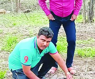 The bird was trapped in a muddy mood while taking a bribe; With the help of the birds and people, they were all set! | भरारी घेता-घेता पक्षी पतंगाच्या मांजात फसला; पक्षीप्रेमी अन् लोकांच्या मदतीने सुखरूप सुटला !