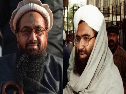 Terrorism in Pakistan: Hafiz Saeed is not alone, these 12 international terrorist organizations have bases in Pakistan; See the list | हाफिज सईद एकटाच नाही, पाकिस्तानात या १२ दहशतवादी संघटनांचे अड्डे; पाहा यादी... Terrorism in Pakistan: Hafiz Saeed is not alone, these 12 international terrorist organizations have bases in Pakistan; See the list | हाफिज सईद एकटाच नाही, पाकिस्तानात या १२ दहशतवादी संघटनांचे अड्डे; पाहा यादी...
