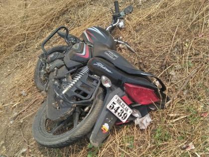 The father and son killed in a bike accident at Palam | पालम येथे दुचाकी अपघातात एकाच कुटुंबातील तिघे ठार 