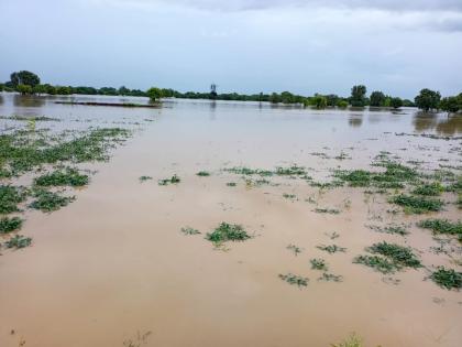 Crop insurance company makes big profit, farmers can get Rs 10,000 per hectare? | पीक विमा कंपनीला मोठा नफा, शेतकऱ्यांना मिळू शकतात हेक्टरी १० हजार ?