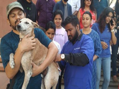 330 stray dogs given anti-rabies vaccine in Palava City | पलावा सिटी मध्ये 330 भटक्या श्वानांना दिली अँटी रेबीज ची लस