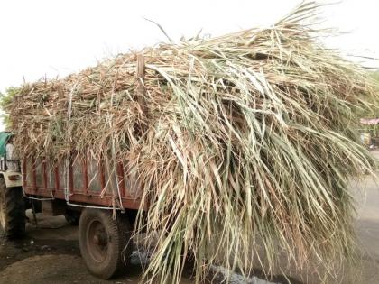  Fodder scarcity before farmers | शेतकऱ्यांसमोर चाराटंचाईचे संकट