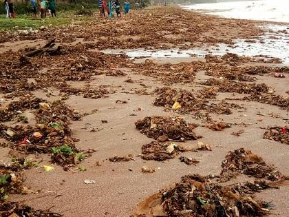 Trash piles on the beaches of the district | जिल्ह्यातील समुद्रकिनाऱ्यांवर कचऱ्याचे ढीग