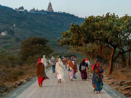 Palitana in Gujrat the vegetarian town in India | Palitana Town: 'हे' आहे भारतातील एकमेव शाकाहरी शहर, फारच रंजक आहे यामागची गोष्ट