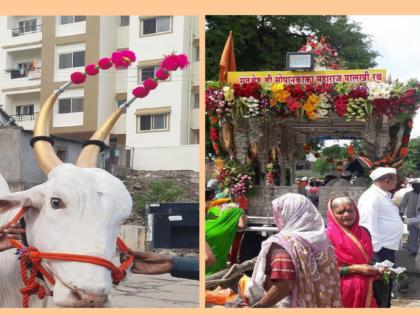 Vitthal darshan remained incomplete Leaving Sopankaka palakhi chariot on his shoulder he left | विठ्ठलाचं दर्शन अपूर्णच राहिलं...! सोपानकाकांच्या पालखी रथाला खांदा देत ‘त्याने’ सोडला जीव