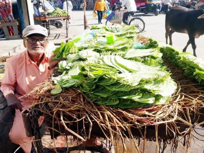 Corona decline in nagelli leaf sales; The number of customers also plummeted | पान विक्रेत्यांवर उपासमारीची वेळ; कोरोनामुळे नागेली पानांच्या विक्रीत घट, ग्राहकांची संख्याही रोडावली