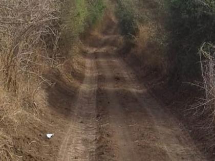 Clear Panand roads, only then will you get government benefits; Proposal under consideration | पाणंद रस्ते मोकळे करा,  तरच मिळेल सरकारी लाभ; प्रस्ताव विचाराधीन