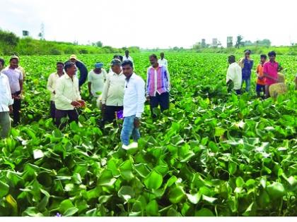 Panchganga river stolen: Rejected by police to get approval from Rukhi villagers | पंचगंगा नदी चोरीला : रुकडी ग्रामस्थांचे निवेदन -तक्रार घेण्यास पोलिसांकडून नकार