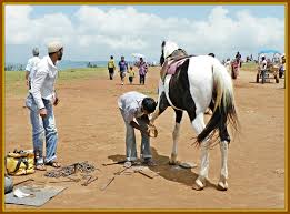 CoronaVirus Lockdown: A horseman with a child is injured when he falls while riding | CoronaVirus Lockdown : घोडेसवारी करताना पडल्याने मुलासह घोडेवाला जखमी