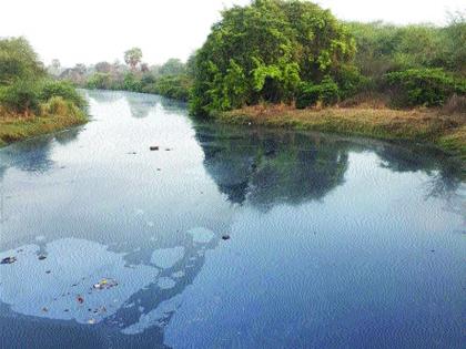  Gender approval of Pariari pollution approved in Gram Sabha | पानेरी प्रदूषणमुक्तीचा ठराव ग्रामसभेत मंजूर