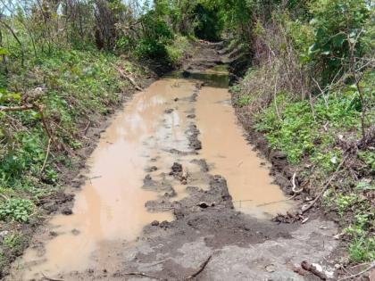 Mud on farmland roads; Farmers suffer | पाणंद रस्त्यांवर चिखल; शेतकरी त्रस्त