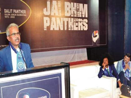 Panther is a movement born out of discontent: Dilip Mandal | पँथर म्हणजे असंतोषातून निर्माण झालेली चळवळ: दिलीप मंडल 