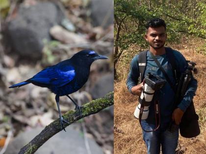 employment of tribal youth guidance for tourists coming for bird watching | आदिवासी तरुणाला रोजगार; पक्षी निरीक्षणासाठी येणाऱ्या पर्यटकांना मार्गदर्शन