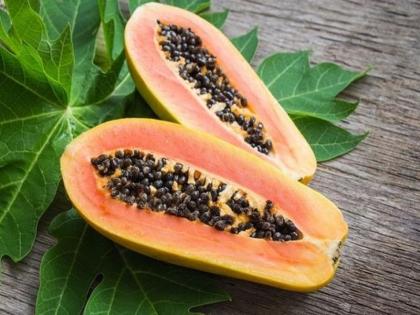 how to use papaya leaf to increase platelets in dengue patients | डेंग्यूच्या रूग्णांसाठी फायदेशीर ठरतात पपईची पानं; असा करता येईल वापर!