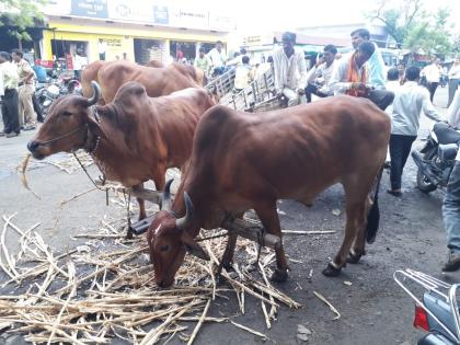 Stop the path to Parbhani district for the demand of crop insurance | पीक विम्याच्या मागणीसाठी परभणी जिल्ह्यात रास्ता रोको