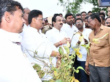 Will present a proposal for increased assistance before the cabinet; Relief and Rehabilitation Minister Makarand Patil assures | वाढीव मदतीचा प्रस्ताव कॅबिनेटसमोर मांडू; मंत्री मकरंद पाटील यांचे शेतकऱ्यांना आश्वासन