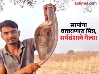 Snake friend who gave life to snakes dies of snake bite; Tragic incident in Parbhani district | सापांना जीवदान देणाऱ्या सर्पमित्राचा सर्पदंशाने दुर्दैवी अंत! परभणी जिल्ह्यात हळहळ Snake friend who gave life to snakes dies of snake bite; Tragic incident in Parbhani district | सापांना जीवदान देणाऱ्या सर्पमित्राचा सर्पदंशाने दुर्दैवी अंत! परभणी जिल्ह्यात हळहळ