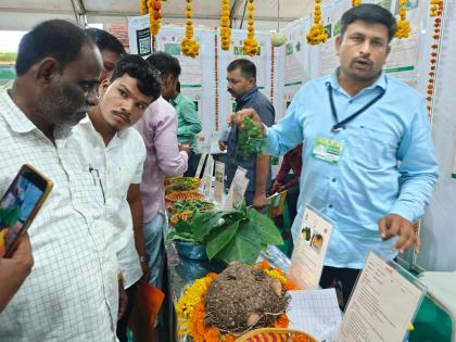 Parali's state-level agricultural exhibition turned out to be an eye-catcher, with thousands of farmers visiting the area | परळीचे राज्यस्तरीय कृषी प्रदर्शन ठरले लक्षवेधी, हजारो शेतकऱ्यांच्या भेटीने परिसर फुलला