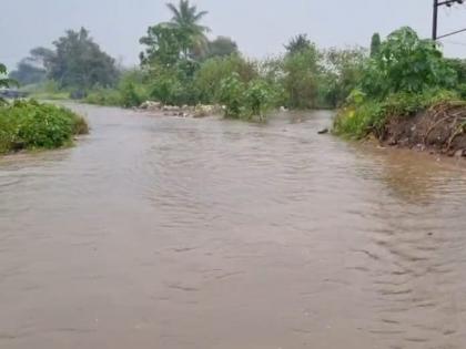 Beed: Water on the bridge on Parli-Gangakhed road; traffic disrupted | Beed: परळी-गंगाखेड मार्गावरील पुलावर पाणी; वाहतूक विस्कळीत, लाडझरी शाळेत पाणी