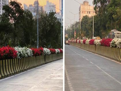 the beautification of the highway will bloom with colorful flowers initiative by bmc in mumbai  | रंगीबेरंगी फुलांनी बहरणार महामार्गावरील दुभाजक; मनपाचा उपक्रम  