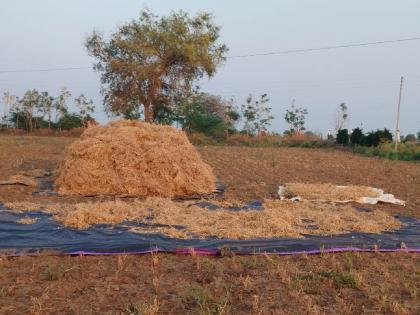 about 272 villages affected by drought final report of crop loss of 21 crores to the government in akola | २७२ गावांना अवकाळीचा ताडाखा; २१ कोटींच्या पीक नुकसानीचा अंतिम अहवाल शासनाकडे!