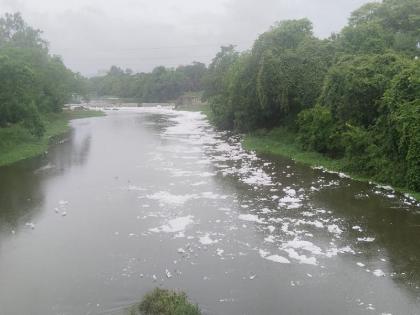 With 'Indrayani' now in Pawan too Rasayan; Due to pollution, the lives of swimmers are in danger | 'इंद्रायणी'बरोबर आता पवनेतही रसायन; प्रदुषणामुळे जलतरांचे जीव धोक्यात