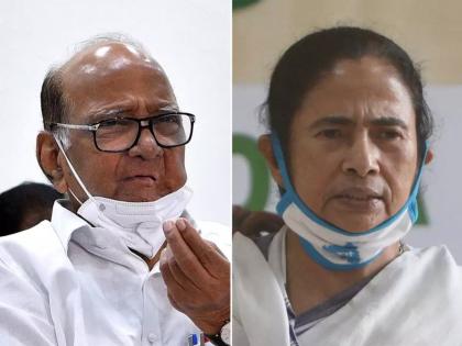 west bengal assembly election 2021 ncp leader sharad pawar three days visit west bengal and will meet mamata banerjee | West Bengal Election 2021: ठरलं! शरद पवार घेणार ममता दीदींची भेट; काँग्रेसचा प्रस्ताव नाकारला