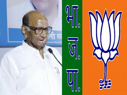 Candidates are running away from BJP now, Criticism of Sharad Pawar | Lok sabha 2024: भाजपकडून आता उमेदवारांचीही पळवापळवी, शरद पवार यांचा टोला 