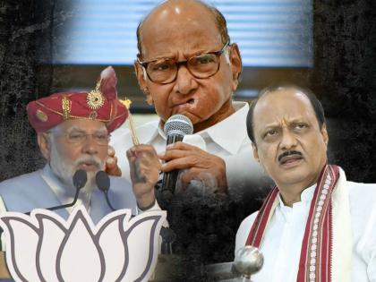 ...'that' is child mind; Criticizing Ajit Pawar, Sharad Pawar blasted Modi's advice | ...‘ते’ तर बालबुद्धी; अजित पवारांवर टीका; शरद पवारांनी धुडकावला मोदींचा सल्ला