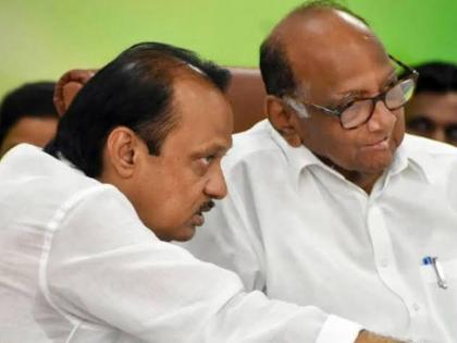 Maharashtra Government mla vinay kore raises doubt about sharad pawar and ajit pawar | Maharashtra Government: पवारांचं राजकारण बहुमत चाचणीवेळीच कळेल; 'त्या' अपक्ष आमदाराला वेगळीच शंका 