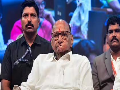 Maharashtra Election 2024 - Sharad Pawar before the election; Mass resignation of 28 office bearers in Amravati | निवडणुकीपूर्वी शरद पवारांना धक्का; अमरावतीच्या २८ पदाधिकाऱ्यांचे सामूहिक राजीनामे