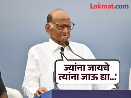 Don't want to encourage politics of opportunism and simplicity, don't want to go with BJP; Sharad Pawar | 'संधी-साधूपणाच्या राजकारणाला प्रोत्साहित करायचे नाही,भाजपसोबत..' शरद पवार स्पष्टच बोलले Don't want to encourage politics of opportunism and simplicity, don't want to go with BJP; Sharad Pawar | 'संधी-साधूपणाच्या राजकारणाला प्रोत्साहित करायचे नाही,भाजपसोबत..' शरद पवार स्पष्टच बोलले