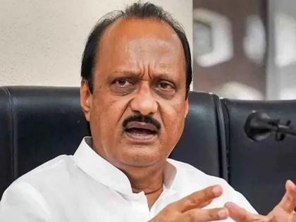 Vidarbha 10 district presidents of Ajit Pawar NCP are angry with the party and Mahayuti government? | अजित पवार गटाला बसणार फटका; विदर्भातील १० जिल्हाध्यक्ष पक्ष अन् सरकारवर नाराज?