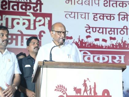 'Farmers very upset, 25 suicides in 10 days'; Sharad Pawar's criticism of the government | 'शेतकरी खूप अस्वस्थ, १० दिवसांत २५ आत्महत्या'; शरद पवारांचा अक्रोश मोर्चामधून निशाणा