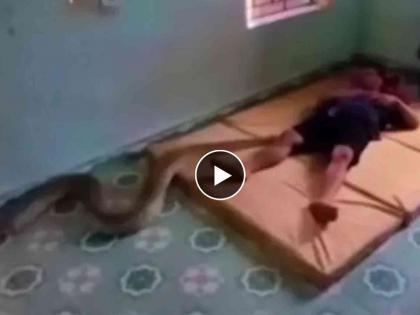 Men was in sleep on ground then huge python crawling on his body video goes viral | VIDEO : जमिनीवर झोपलेल्या व्यक्तीच्या अंगावर चढला 20 फूट लांब अजगर आणि मग....