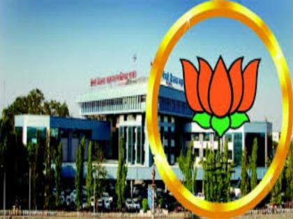 BJP Shital Shinde's revenge for filling up the nomination for standing committee chairman | पिंपरीत स्थायी समिती सभापतीसाठी अर्ज भरताना भाजपाच्या शितल शिंदे यांची बंडखोरी