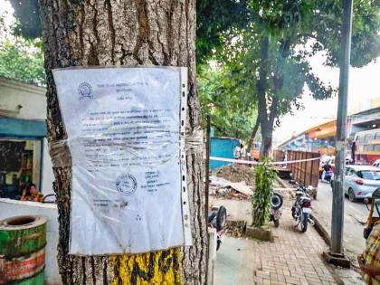 pimpari-chinchwad news Notices were put on a tree in Nigdi and the video went viral | वृक्षतोड करू नये; निगडीतील झाडावर नोटिसा लावल्या अन् व्हिडिओ झाला व्हायरल pimpari-chinchwad news Notices were put on a tree in Nigdi and the video went viral | वृक्षतोड करू नये; निगडीतील झाडावर नोटिसा लावल्या अन् व्हिडिओ झाला व्हायरल